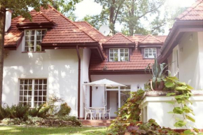 Krzysin, Podkowa Leśna